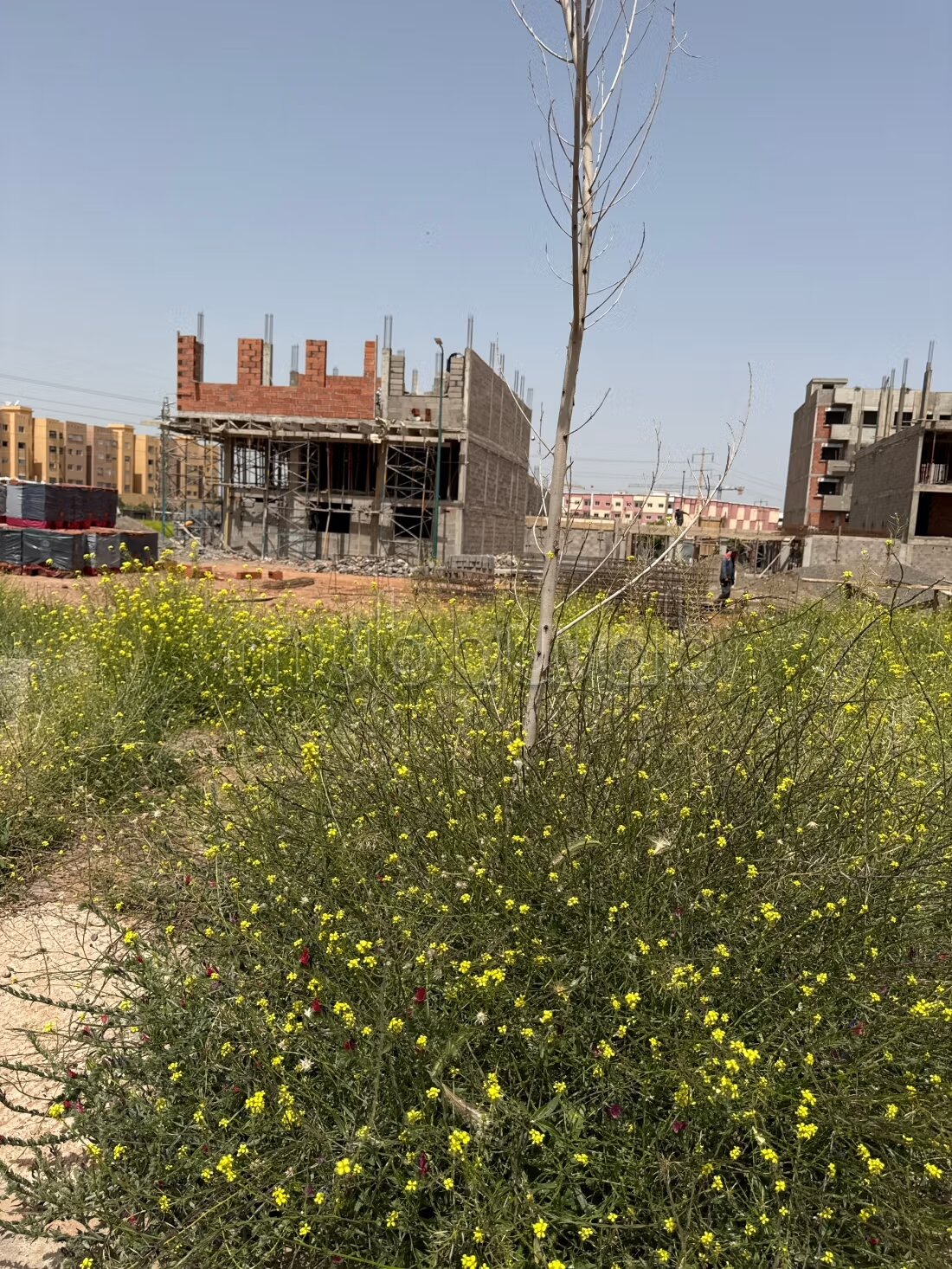 Terrain 500 m² à vendre à Mhamid, Marrakech — Photo 4