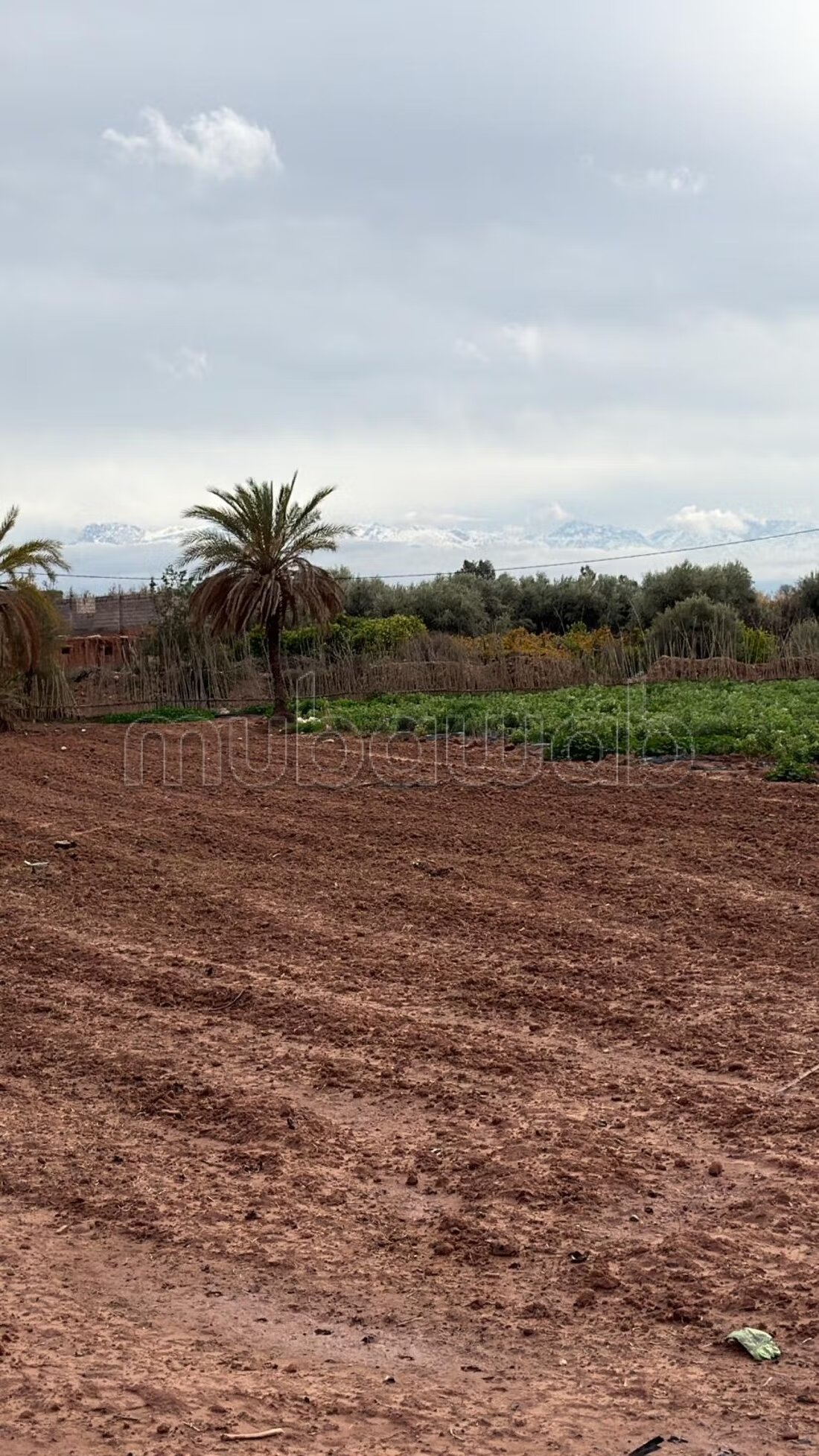 364 m² Land for Sale in Marrakech — Photo 81