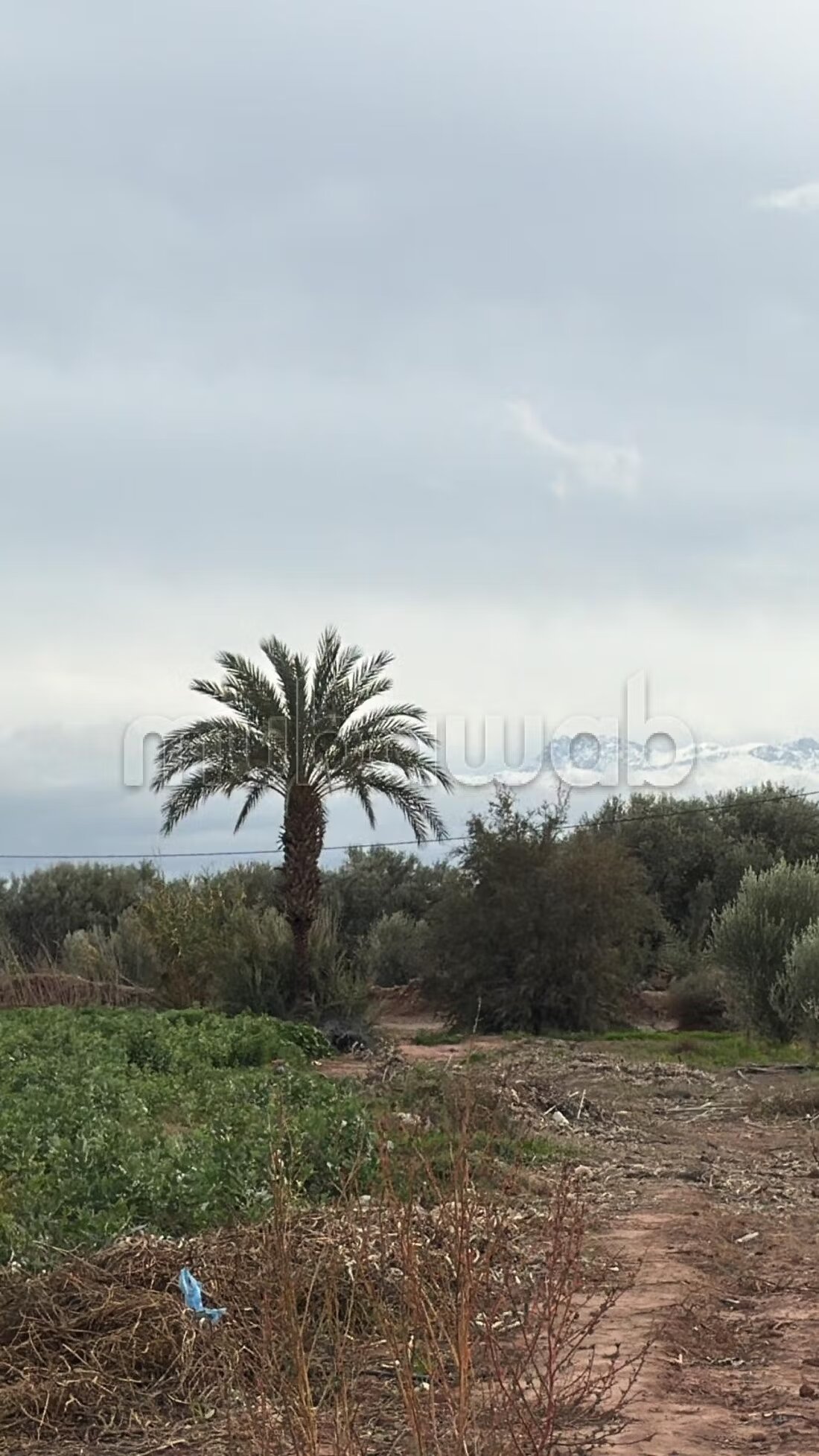 364 m² Land for Sale in Marrakech — Photo 83