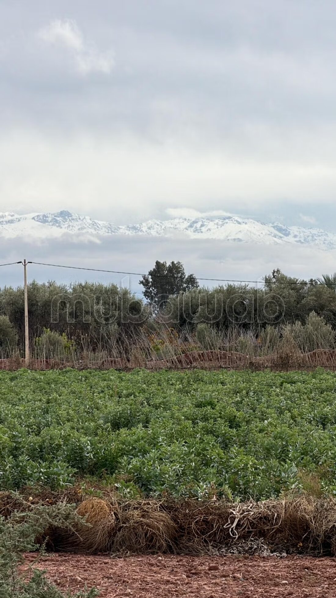 364 m² Land for Sale in Marrakech — Photo 84