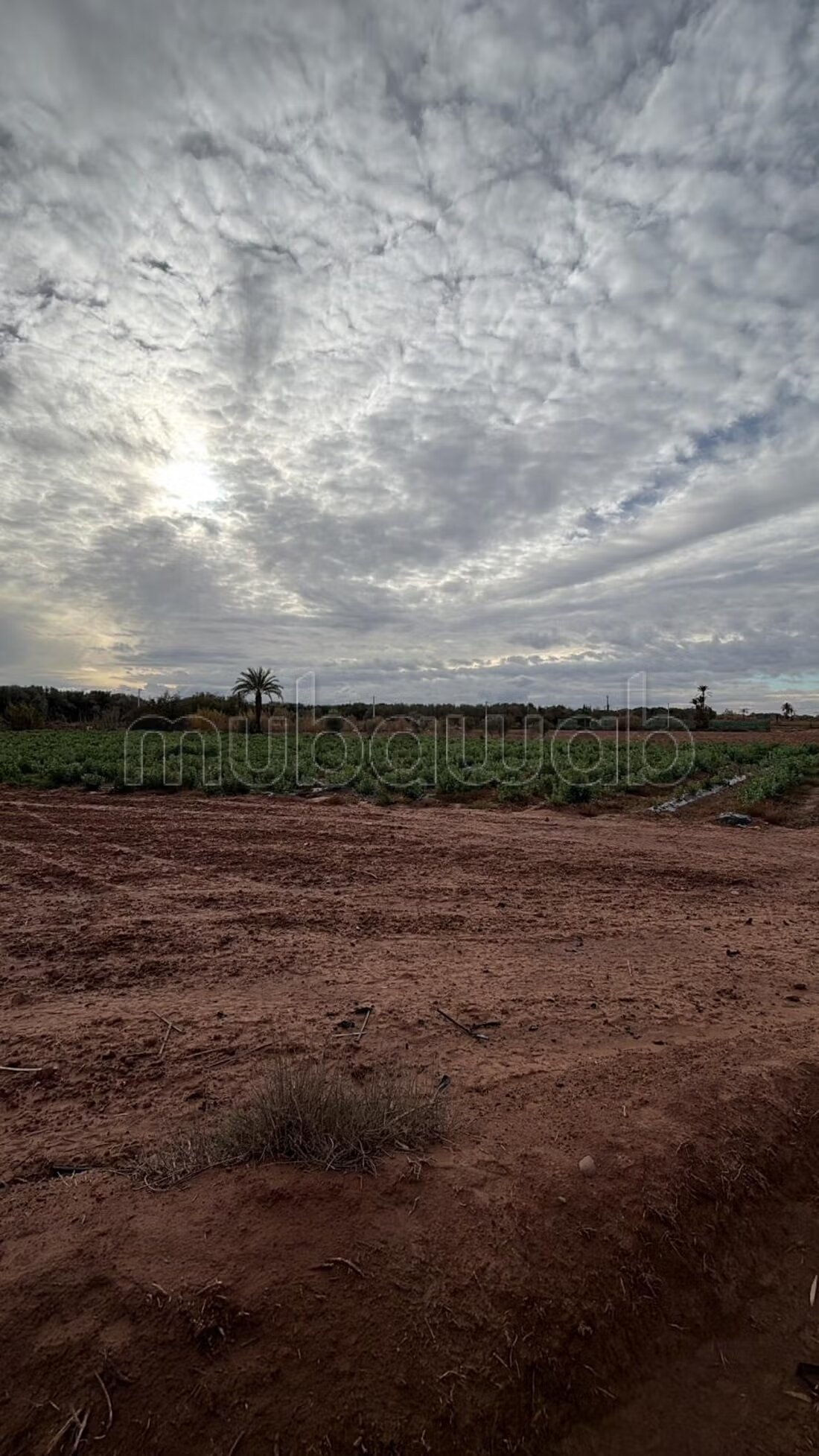 364 m² Land for Sale in Marrakech — Photo 89