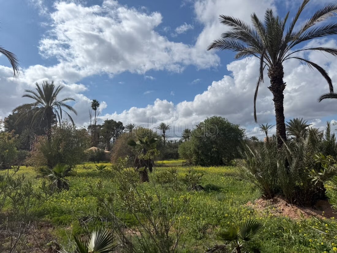 364 m² Land for Sale in Marrakech — Photo 93