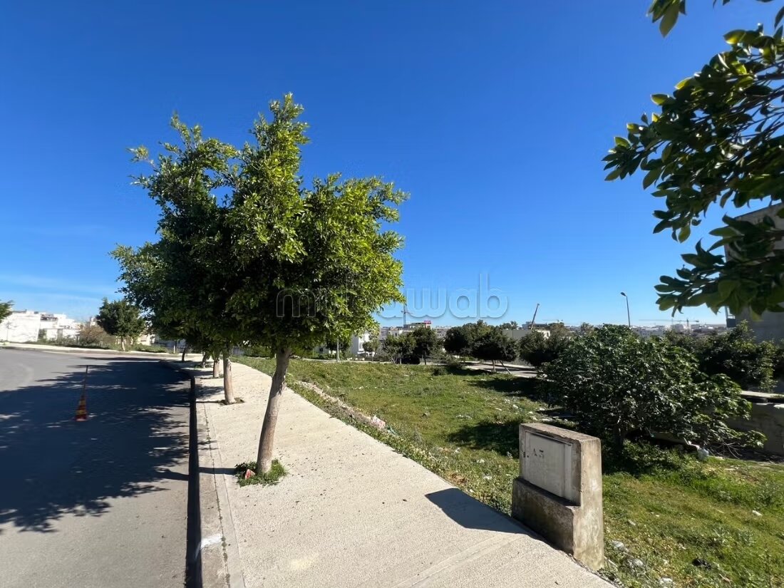 Vente terrain à Moujahidine. Surface totale 240 m²
