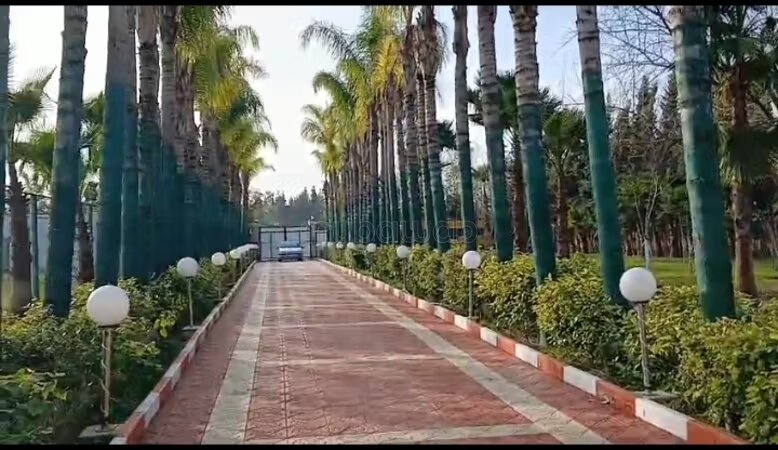 Farm 14000 m² for sale in Casablanca — Photo 7