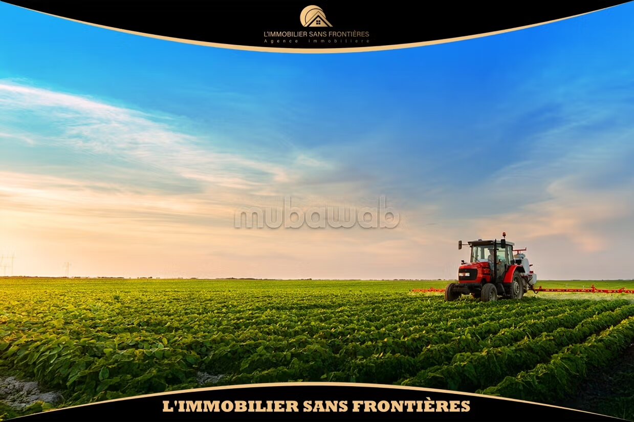 Ferme agricole titrée à vendre - 112000 m² - Rabat