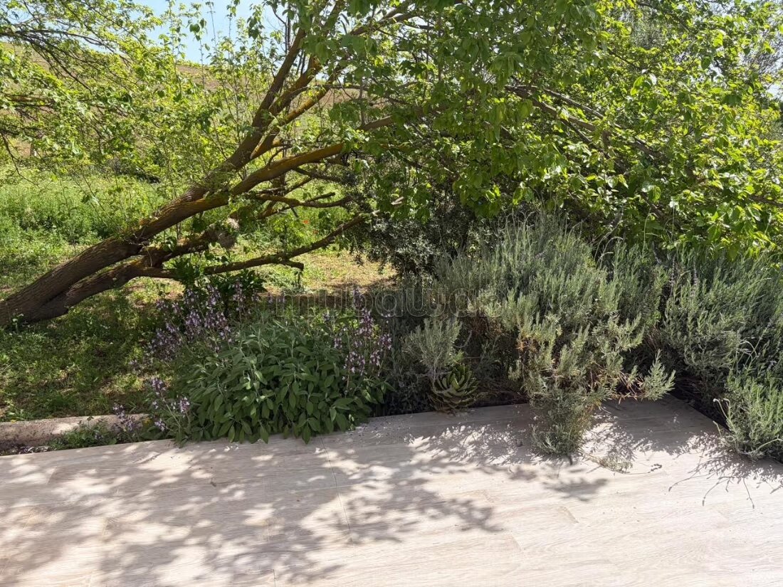مزرعة 9743 م² للبيع — Photo 3