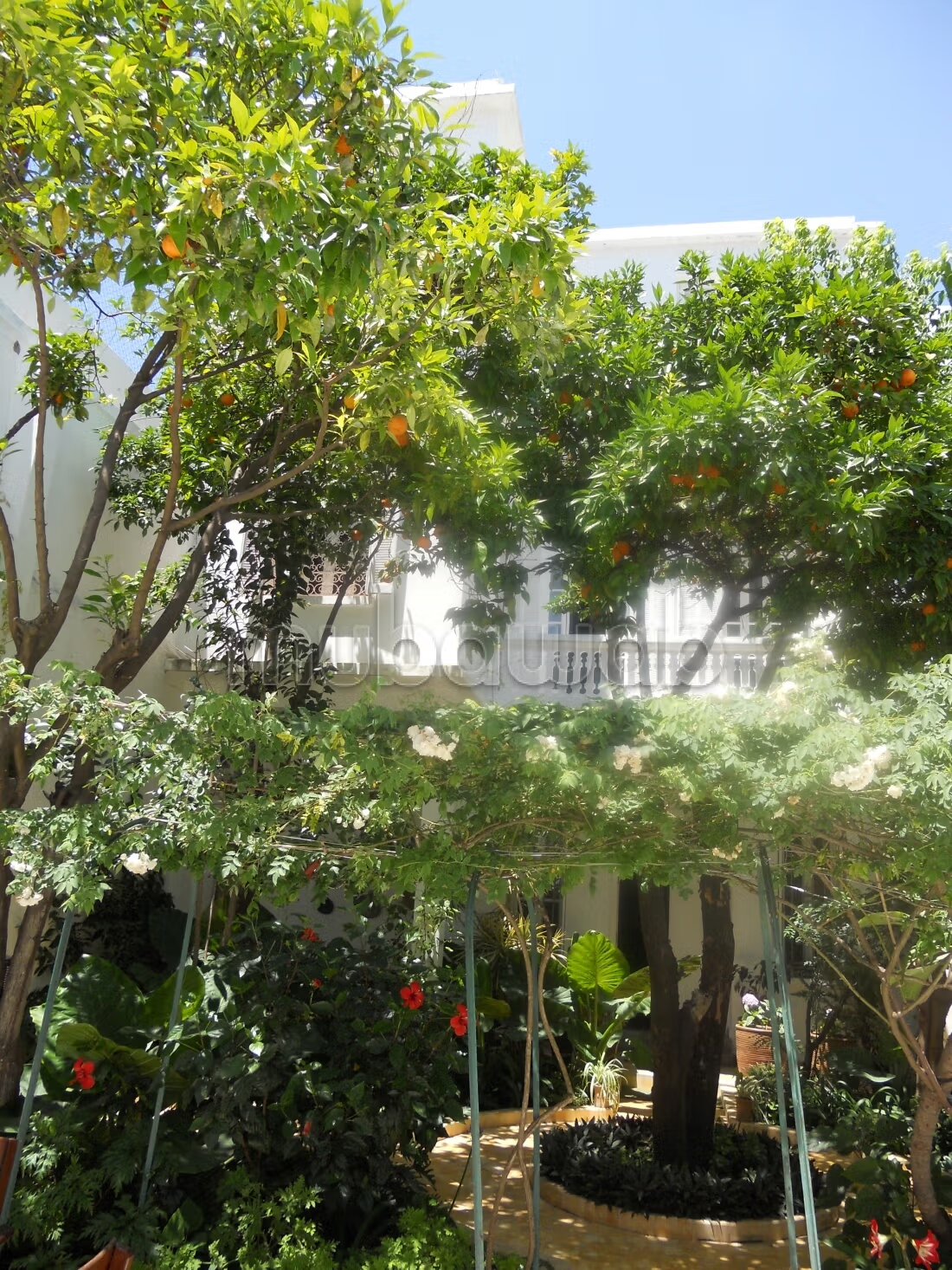 رياض 450 م² للبيع في طنجة (مارشان) — Photo 13