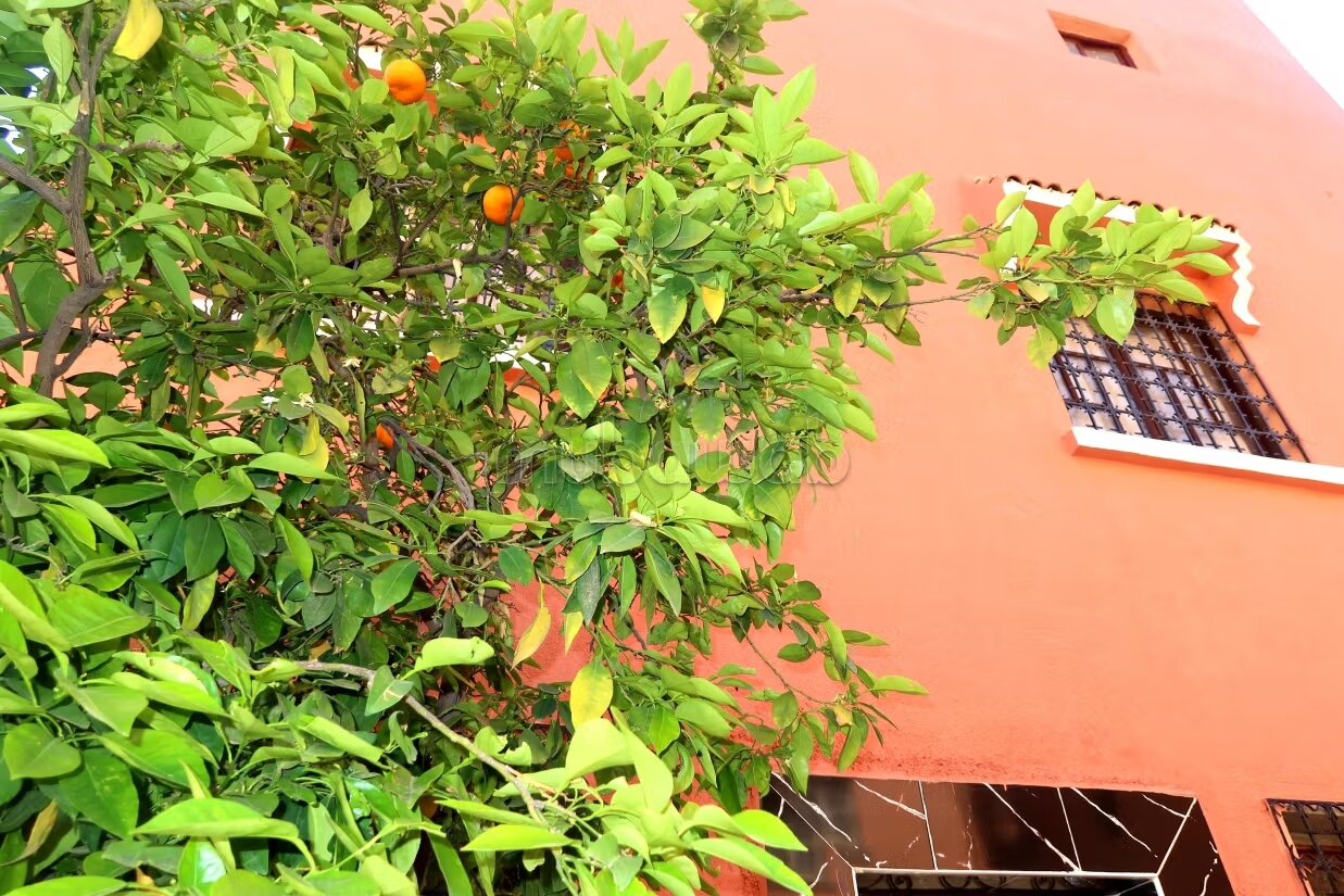 House 110 m² for sale — Photo 11