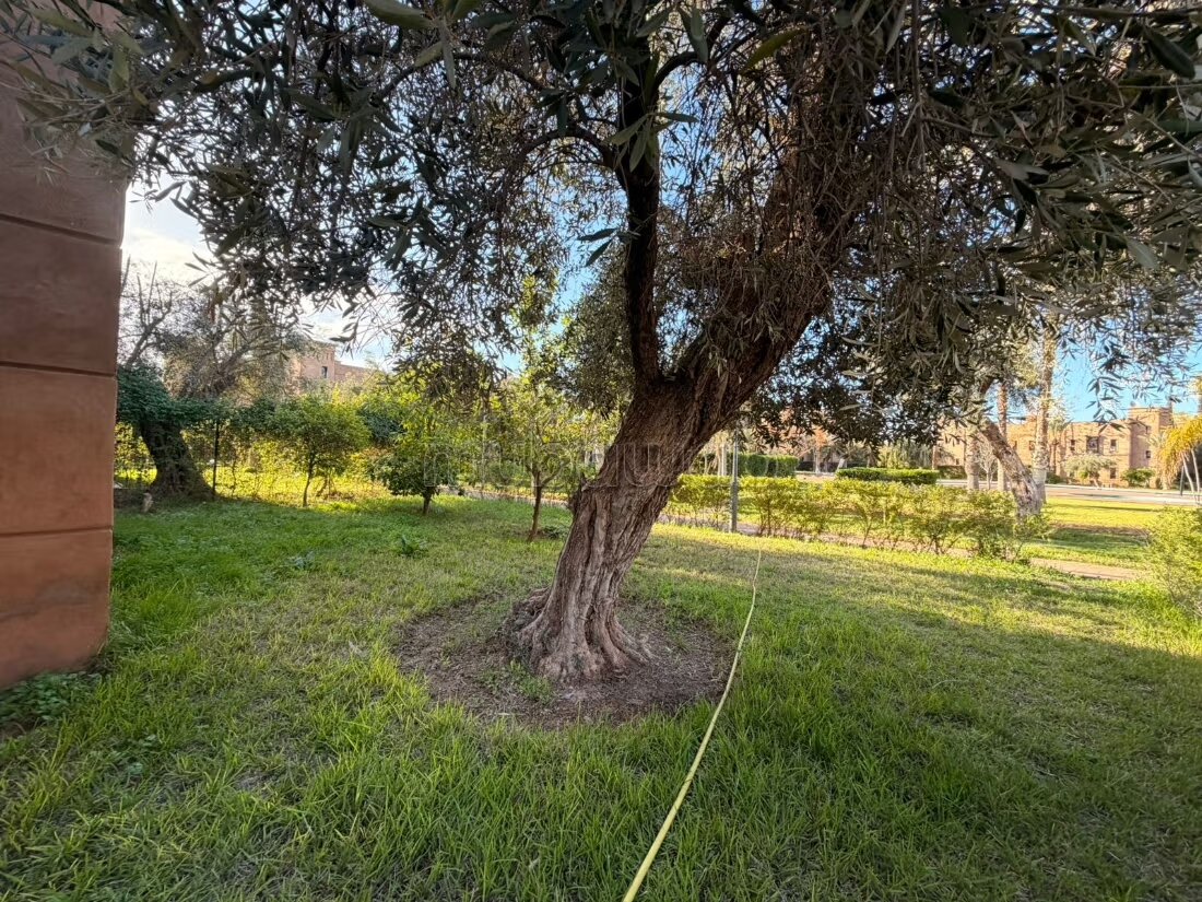 Villa 132 m² for sale in Marrakech (Fes Road) — Photo 493