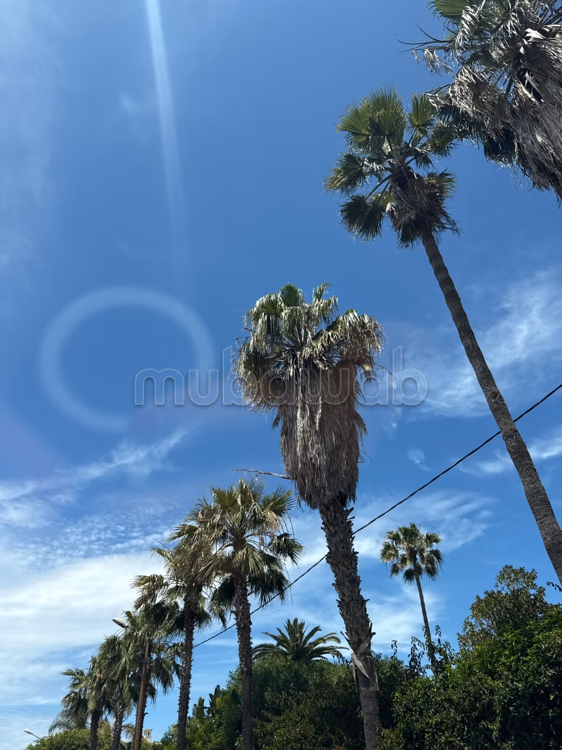 Villa de luxe à vendre - 780 m² à Casablanca — Photo 3