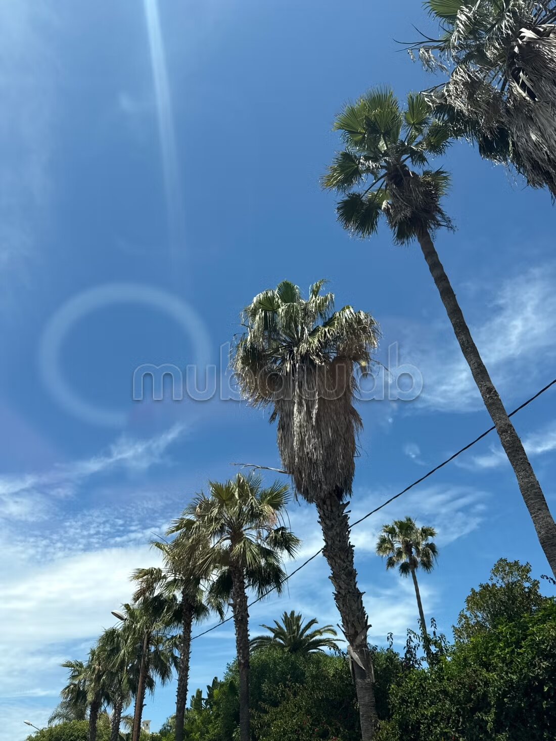 Villa de luxe à vendre - 780 m² à Casablanca — Photo 4