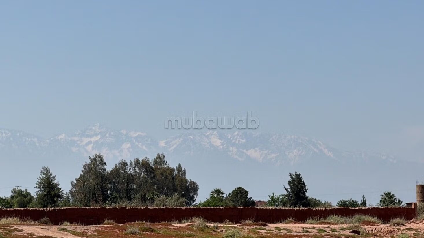 أرض للبيع 2 هكتار مراكش — Photo 3