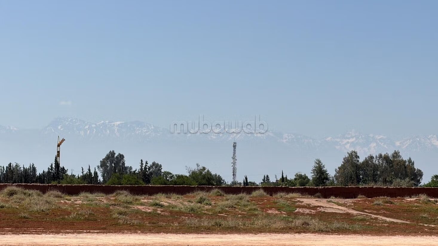 أرض للبيع 2 هكتار مراكش — Photo 8