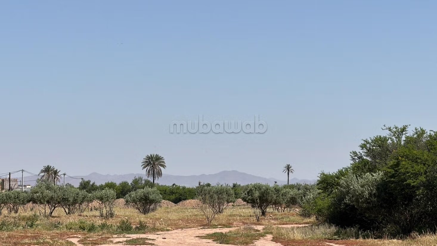 أرض للبيع 2 هكتار مراكش — Photo 13