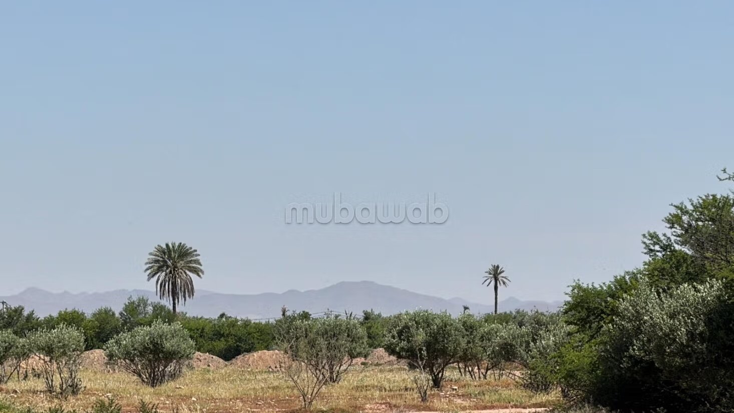 أرض للبيع 2 هكتار مراكش — Photo 14
