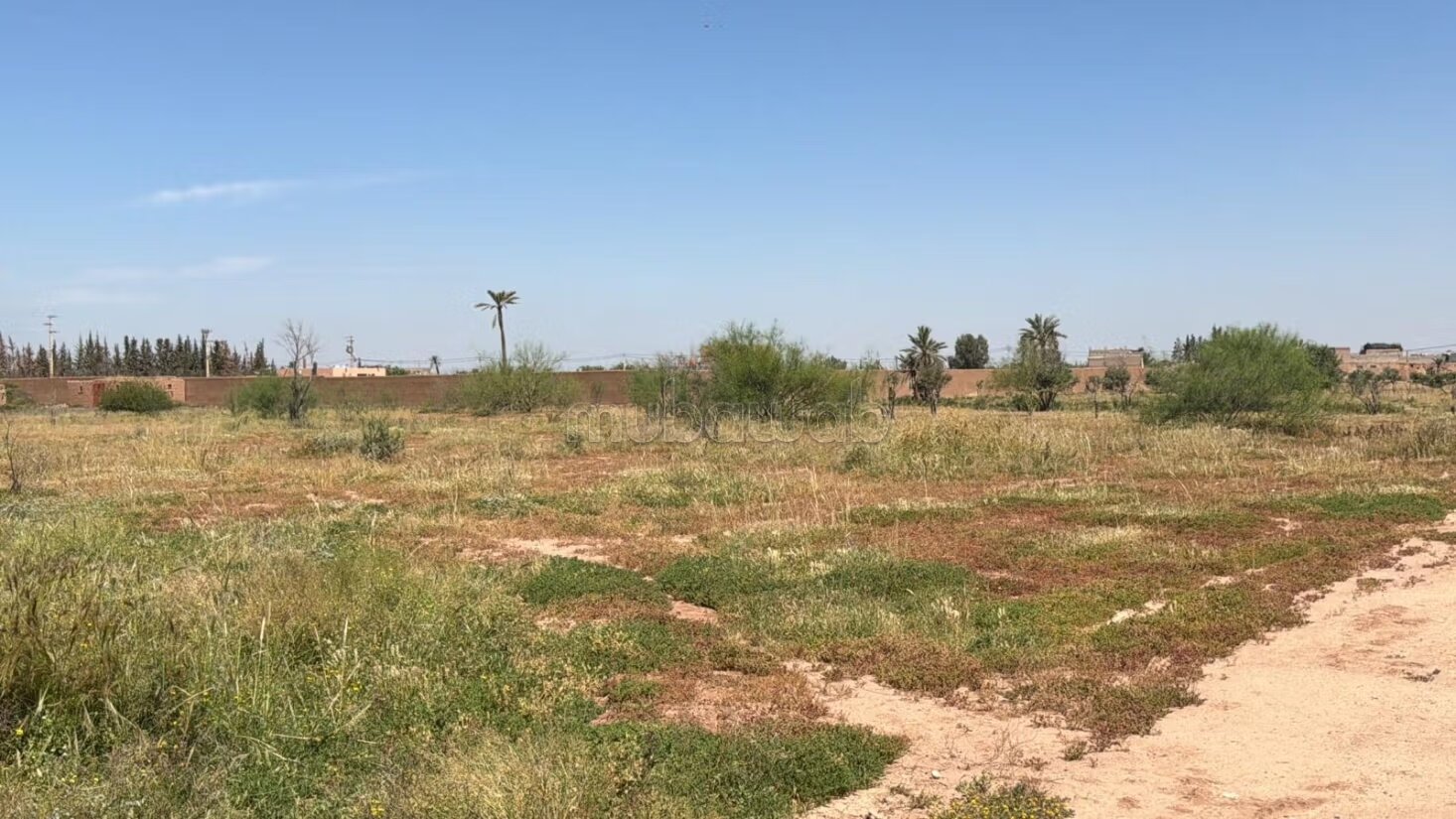أرض للبيع 2 هكتار مراكش — Photo 17