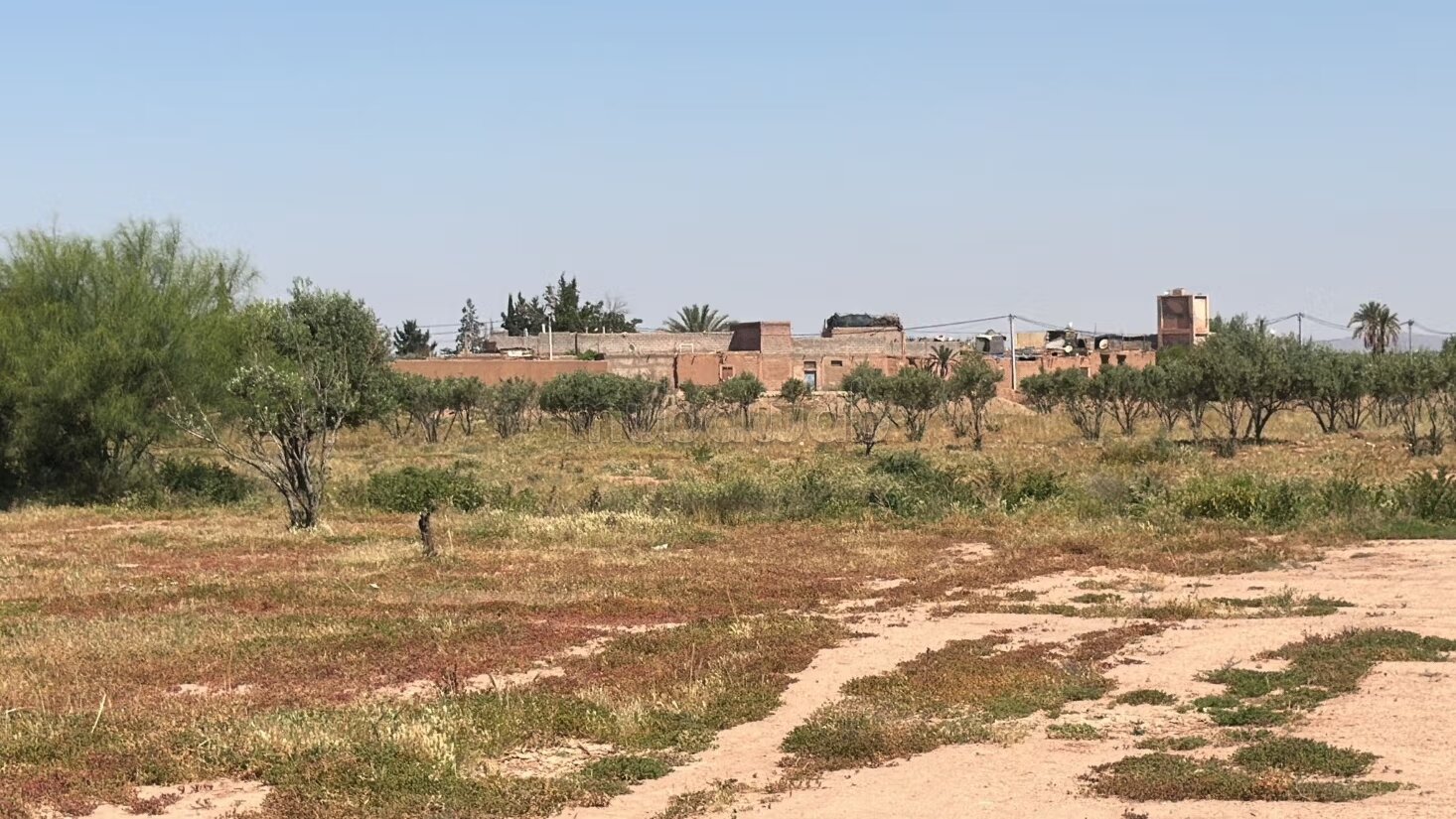 أرض للبيع 2 هكتار مراكش — Photo 18