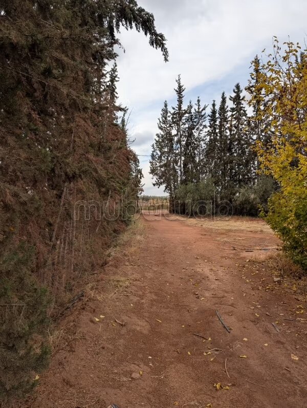 أرض للبيع 2 هكتار مراكش — Photo 29