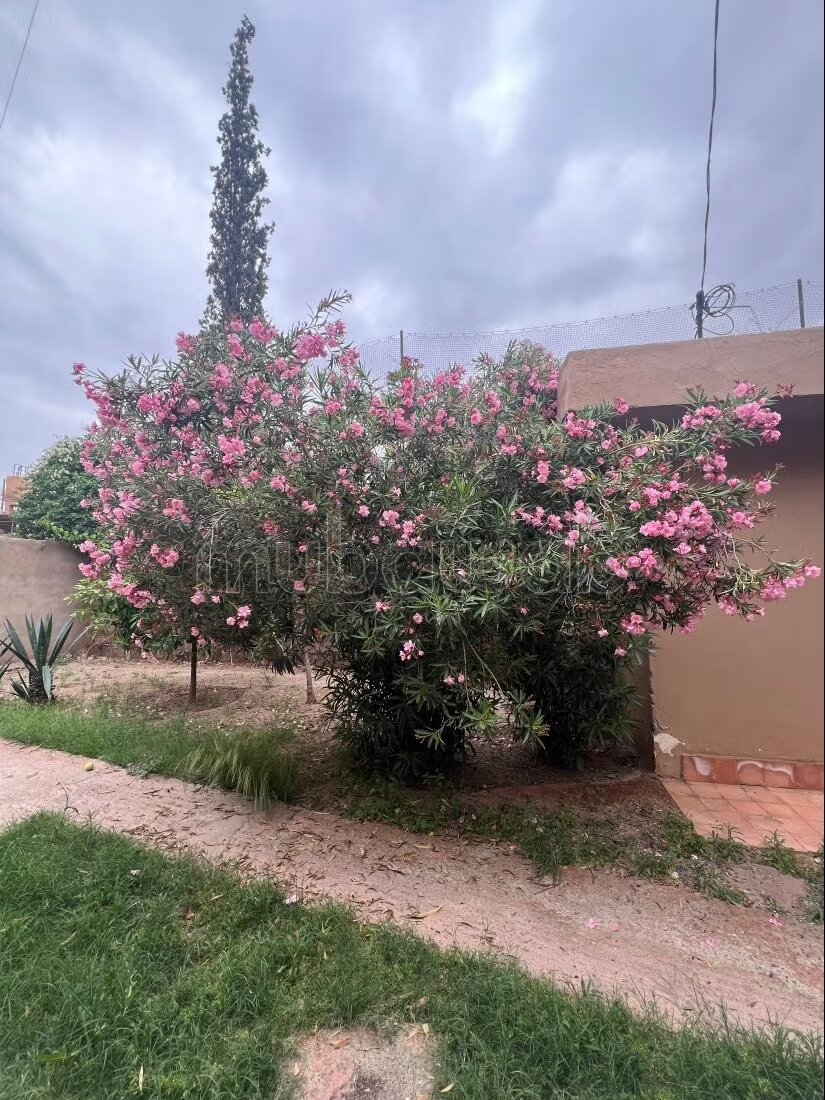 فيلا 220 م² للإيجار في مراكش – ماسيرا III — Photo 318