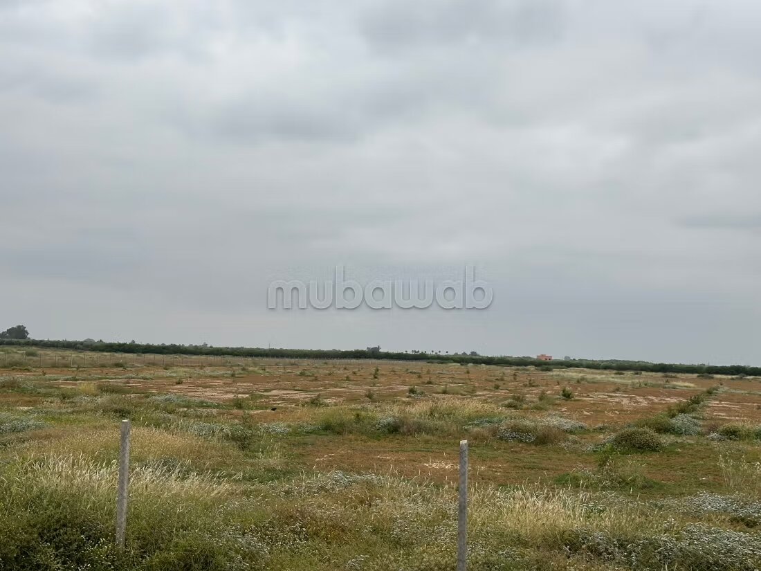 أرض 300 م² للبيع في مراكش (البامبراية) — Photo 25