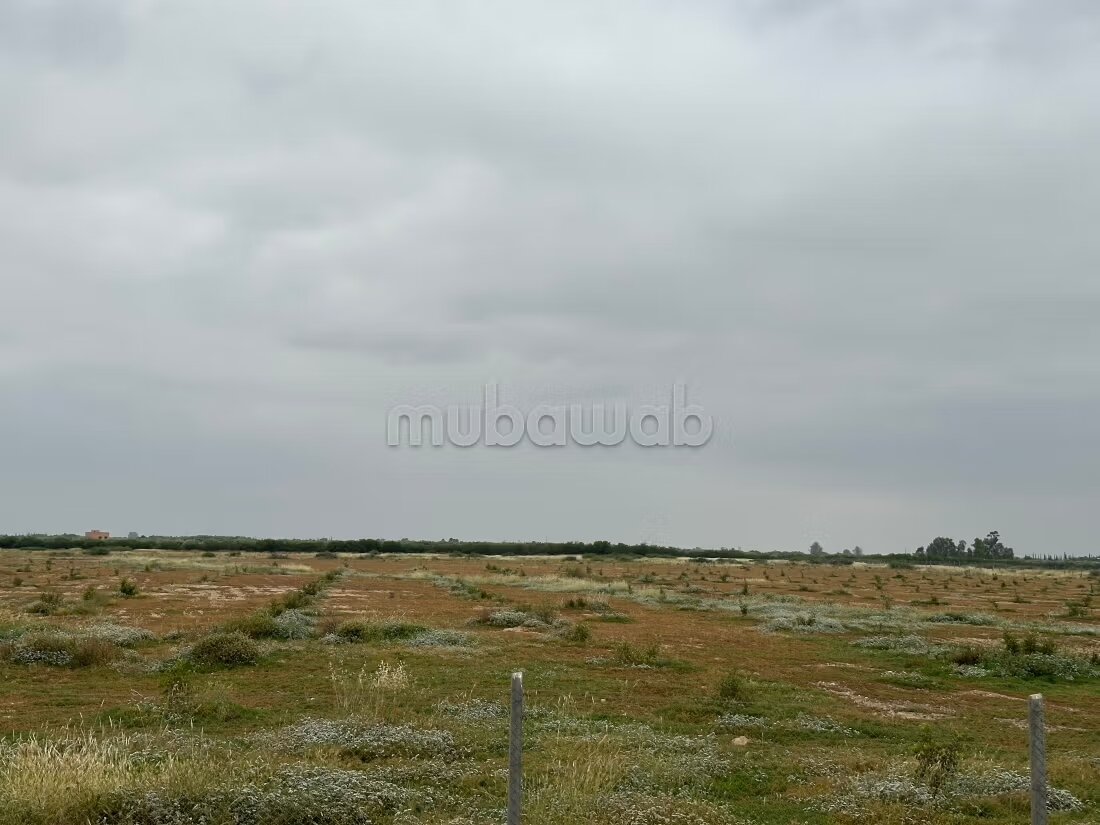 أرض 300 م² للبيع في مراكش (البامبراية) — Photo 26