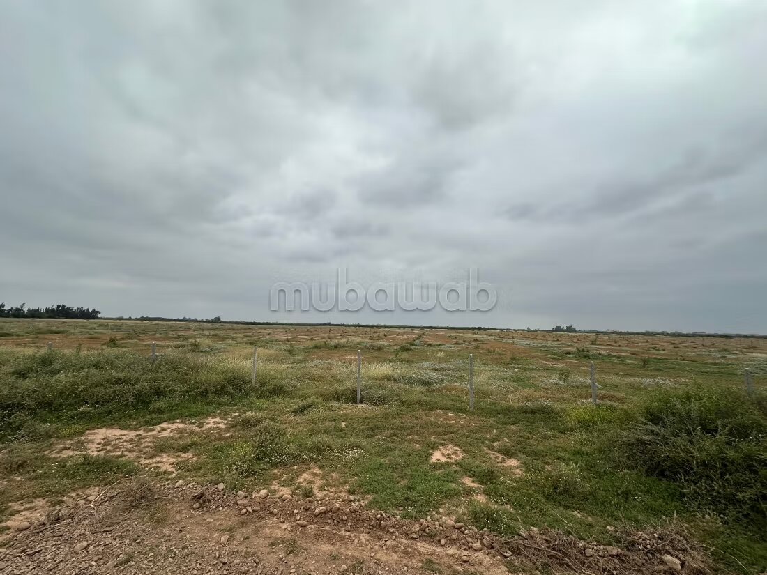 أرض 300 م² للبيع في مراكش (البامبراية) — Photo 28
