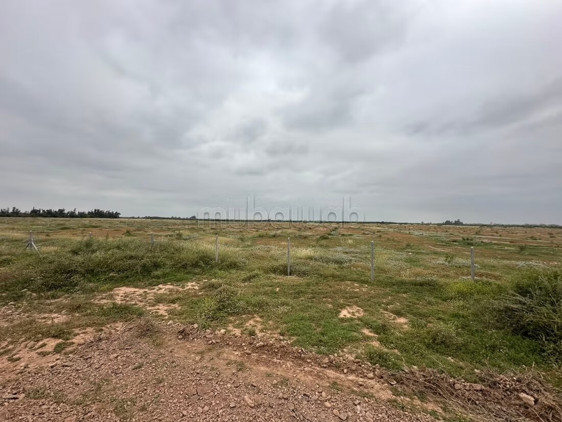أرض 300 م² للبيع في مراكش (البامبراية) — Photo 30