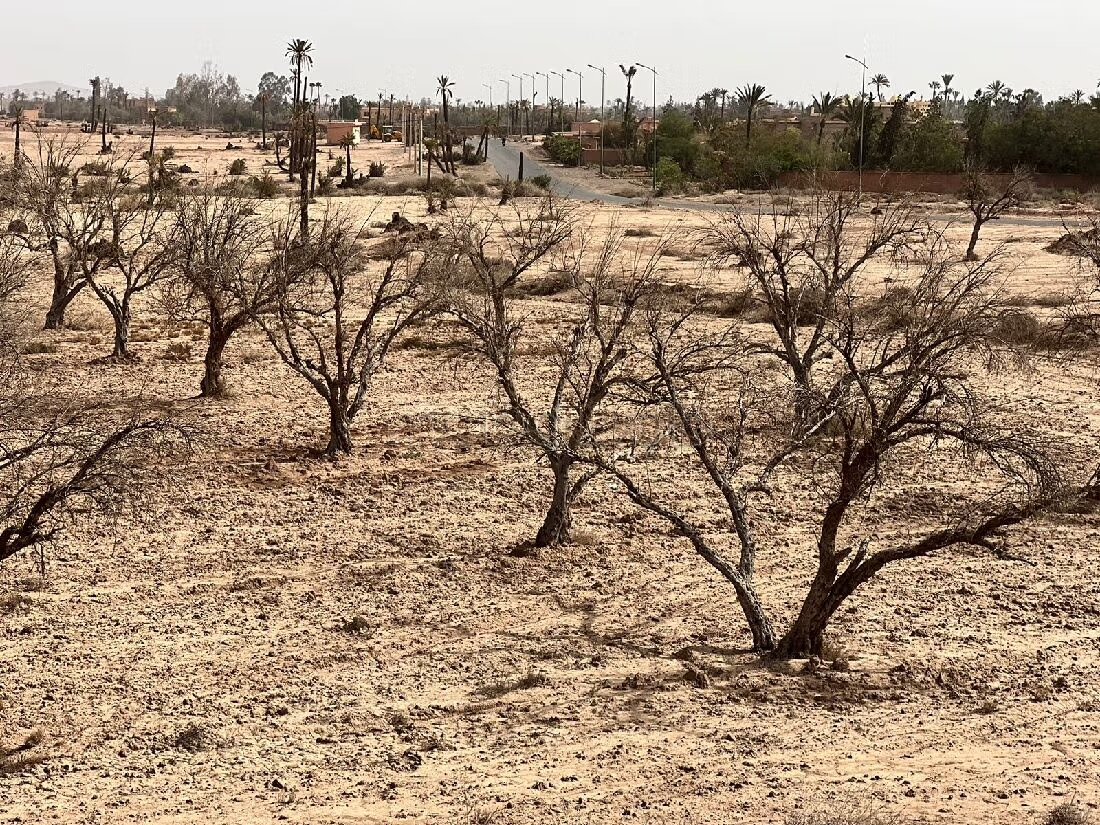 أرض 300 م² للبيع في مراكش (البامبراية) — Photo 31