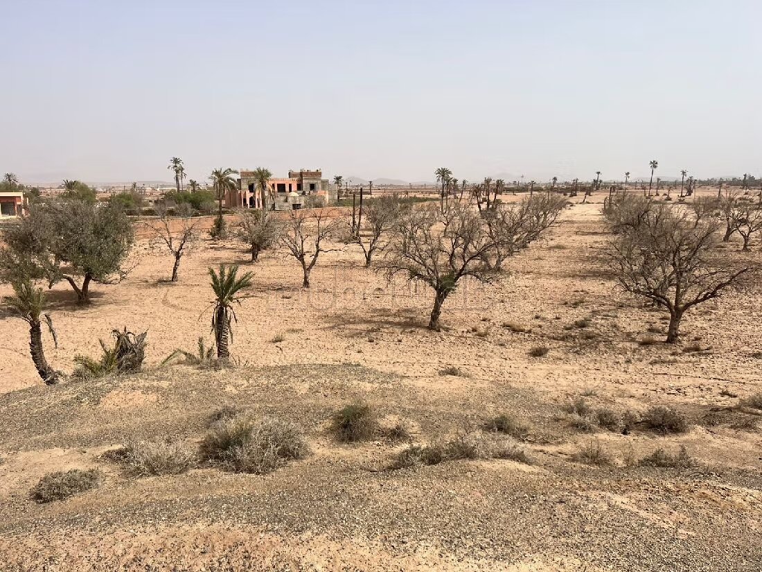 أرض 300 م² للبيع في مراكش (البامبراية) — Photo 34