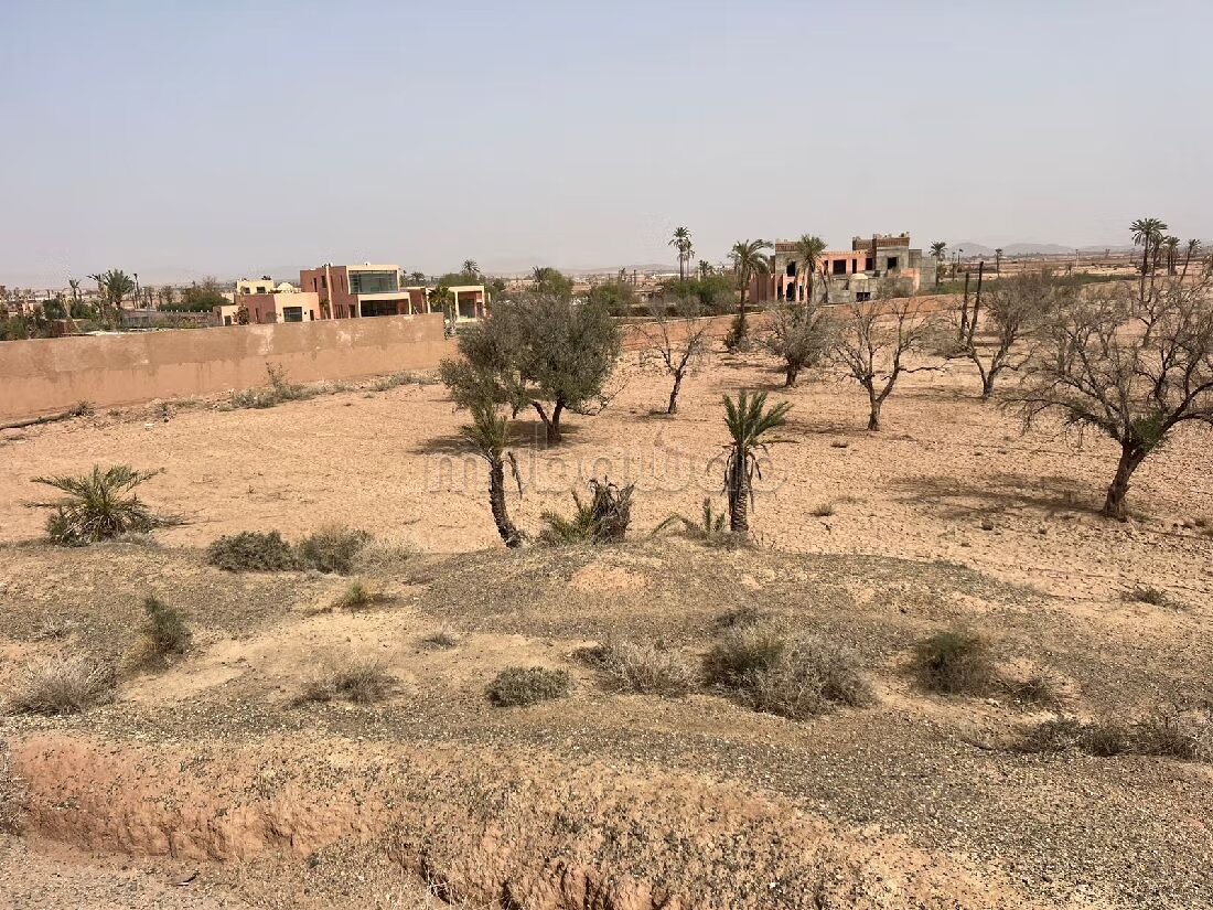 أرض 300 م² للبيع في مراكش (البامبراية) — Photo 35