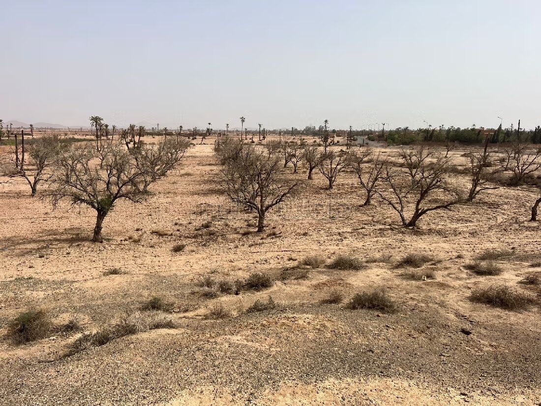 أرض 300 م² للبيع في مراكش (البامبراية) — Photo 36