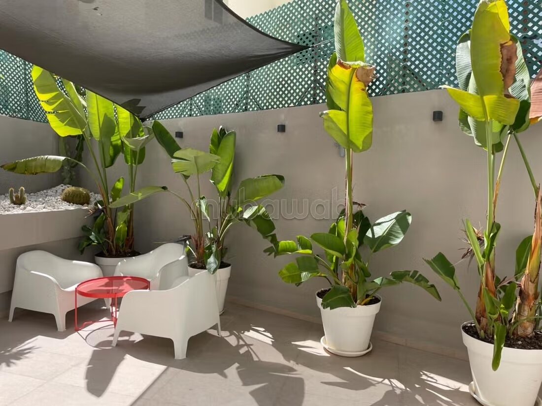 RARE appart quartier Racine / magnifique terrasse