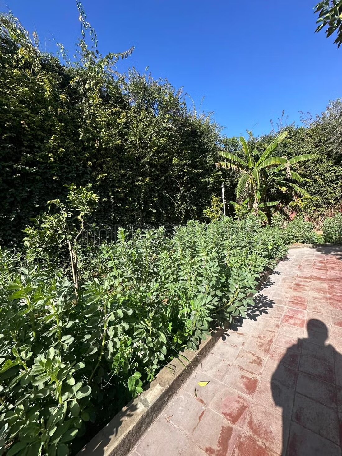 Villa 3300 m² for Sale in Marrakech — Photo 17