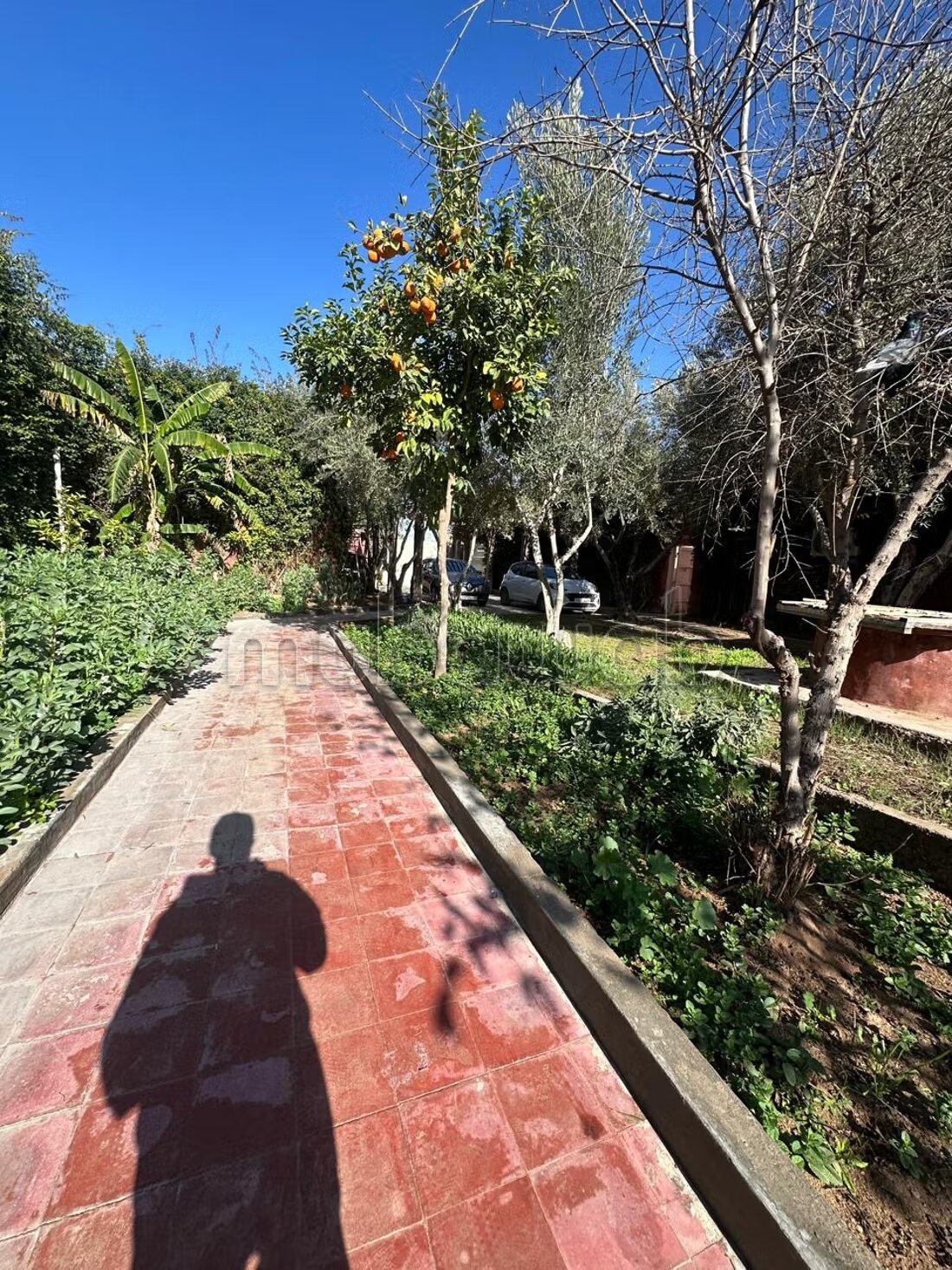 Villa 3300 m² for Sale in Marrakech — Photo 19