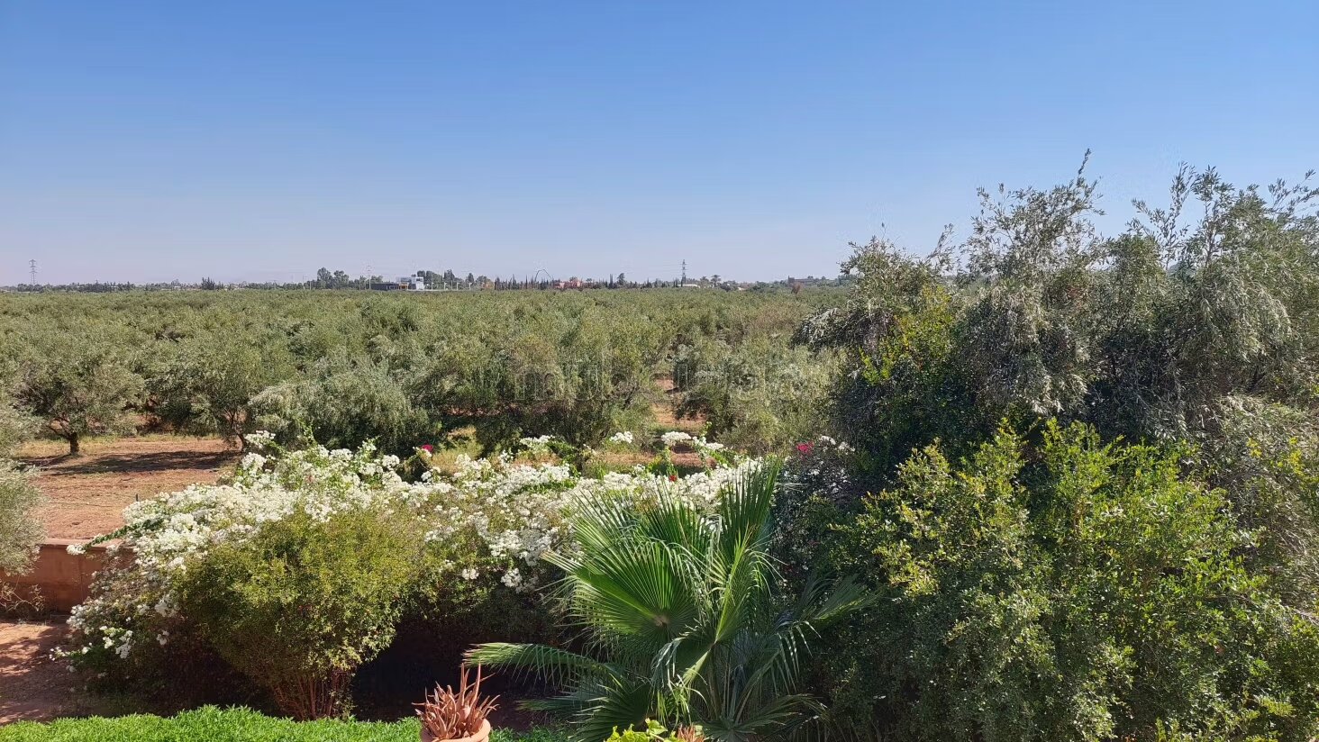Studio 59 m² for sale in Marrakech (Amelkis) — Photo 203