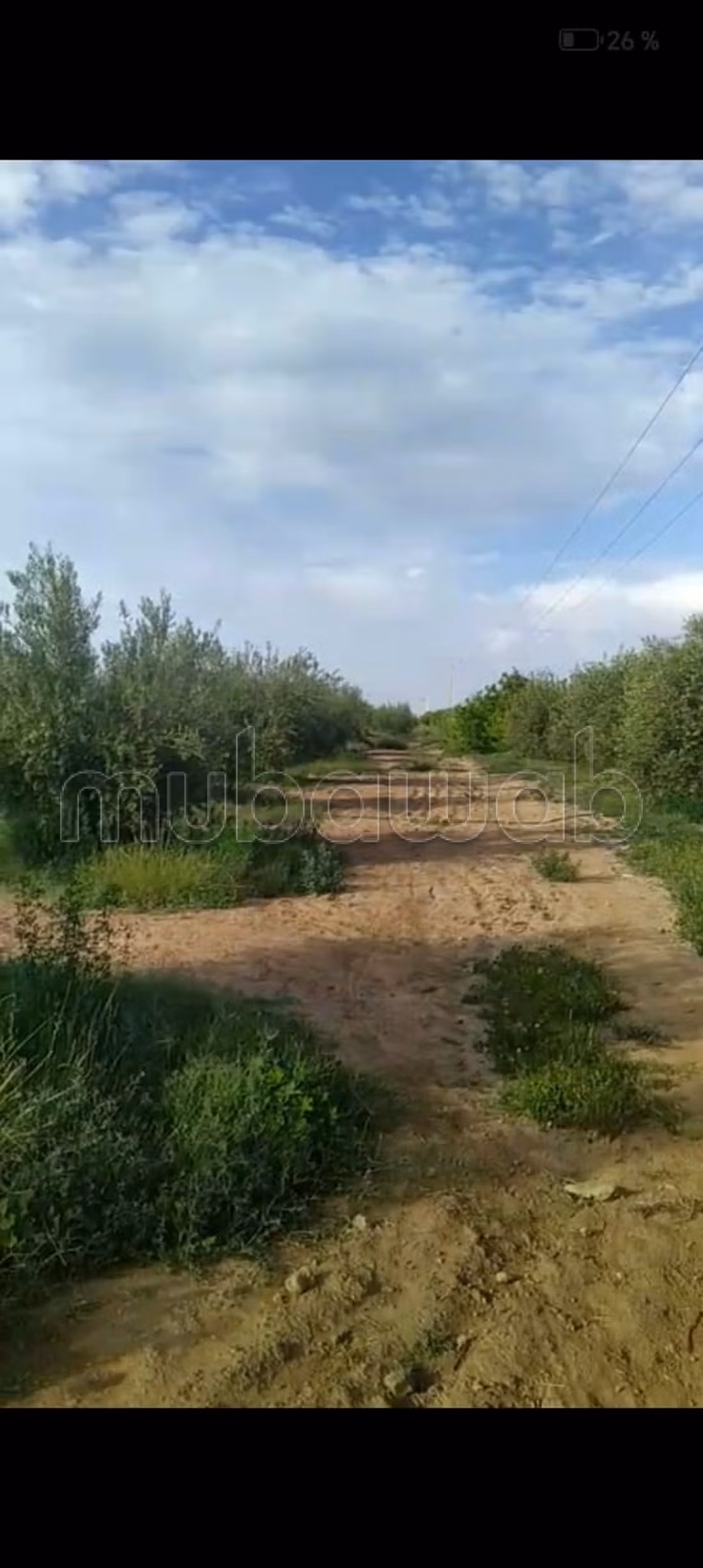 Ferme 100000 m² à vendre à Marrakech — Photo 2