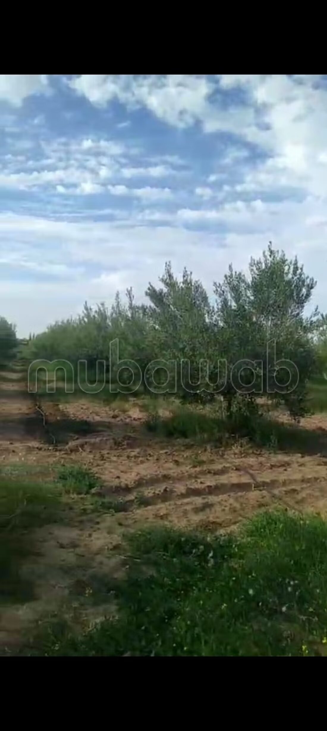 Ferme 100000 m² à vendre à Marrakech — Photo 3