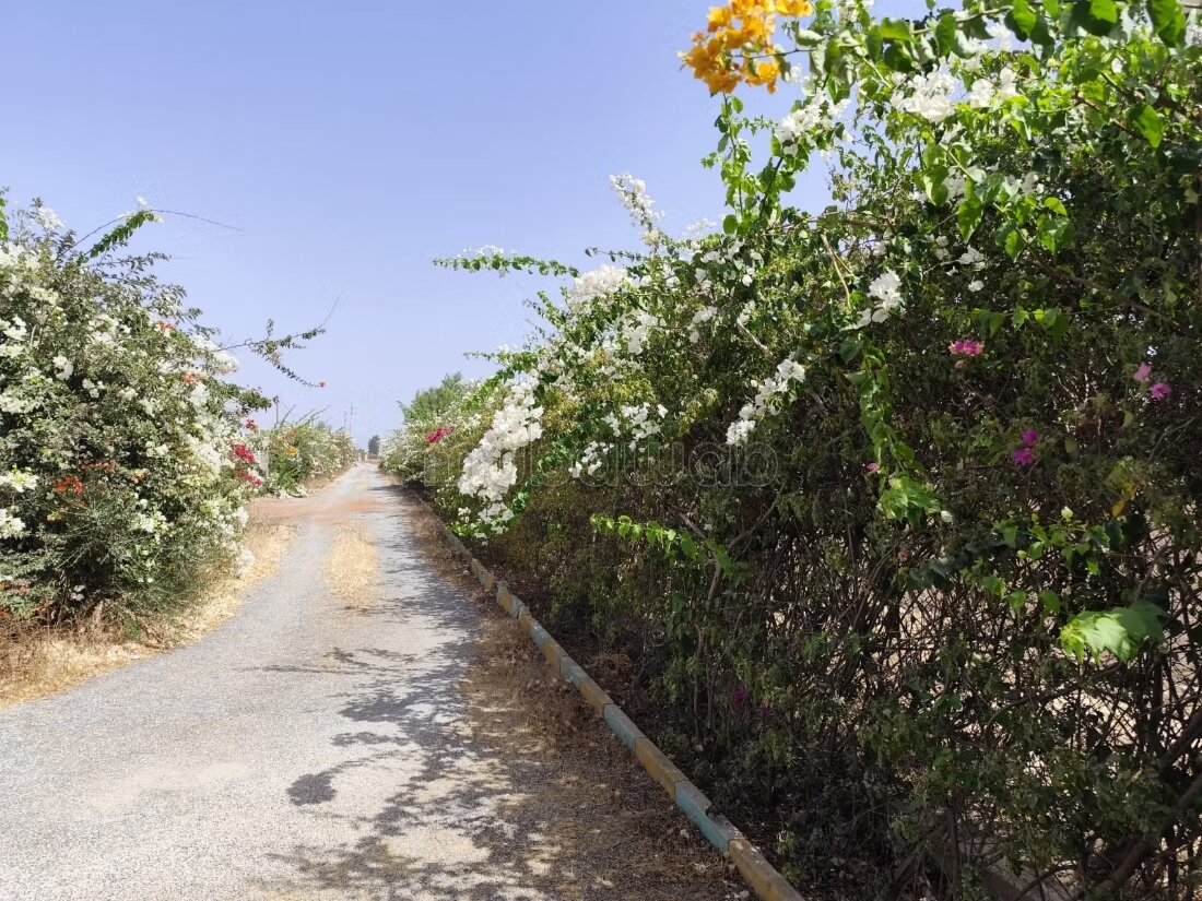 مزرعة 300 متر مربع للبيع في الدار البيضاء — Photo 26