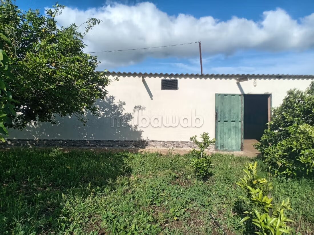 Ferme 300 m² à vendre à Casablanca — Photo 16
