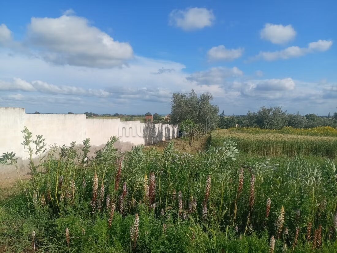 Ferme 300 m² à vendre à Casablanca — Photo 20