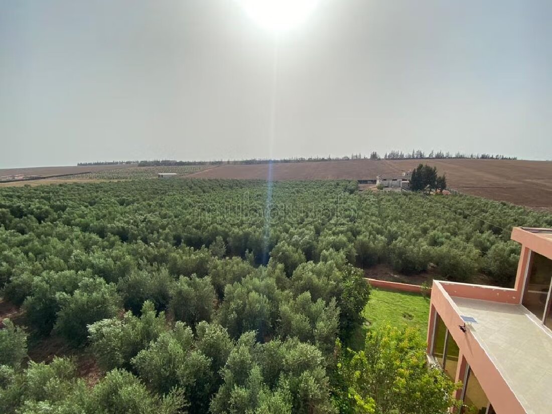 Farm 11000 sqm for sale in Casablanca — Photo 11