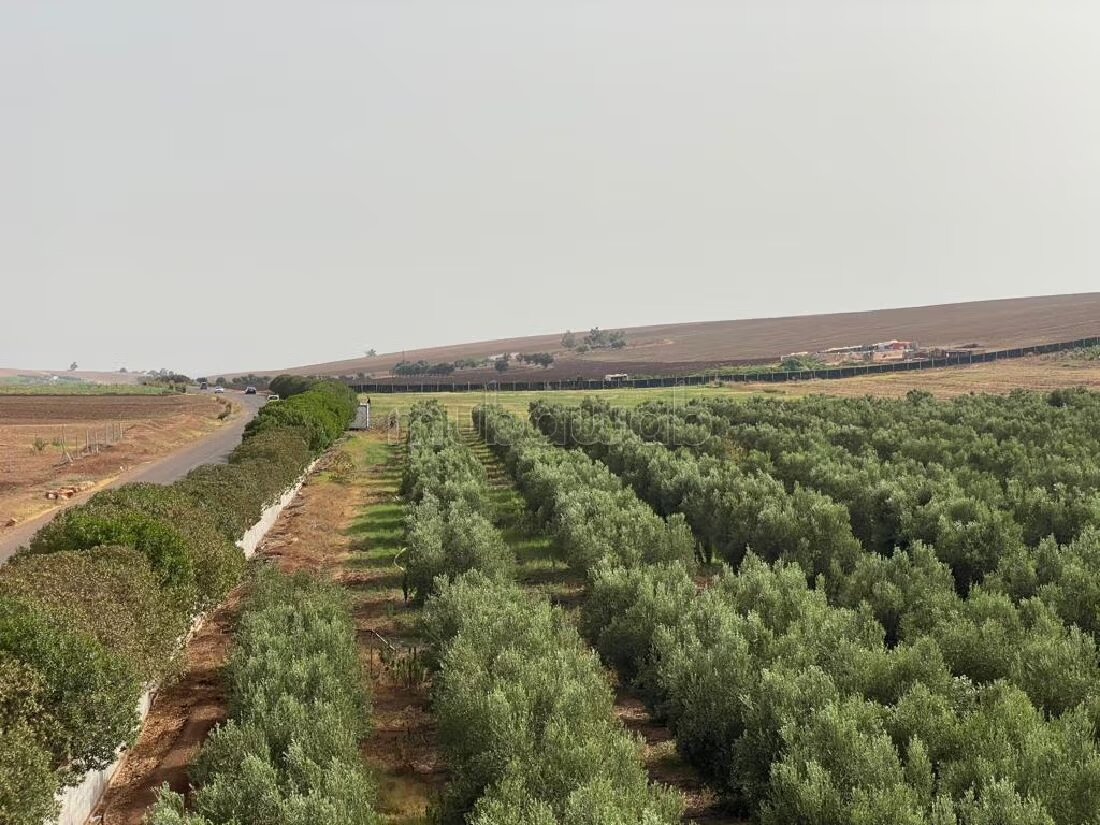 Farm 11000 sqm for sale in Casablanca — Photo 12