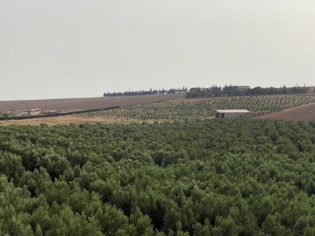 Farm 11000 sqm for sale in Casablanca — Photo 13
