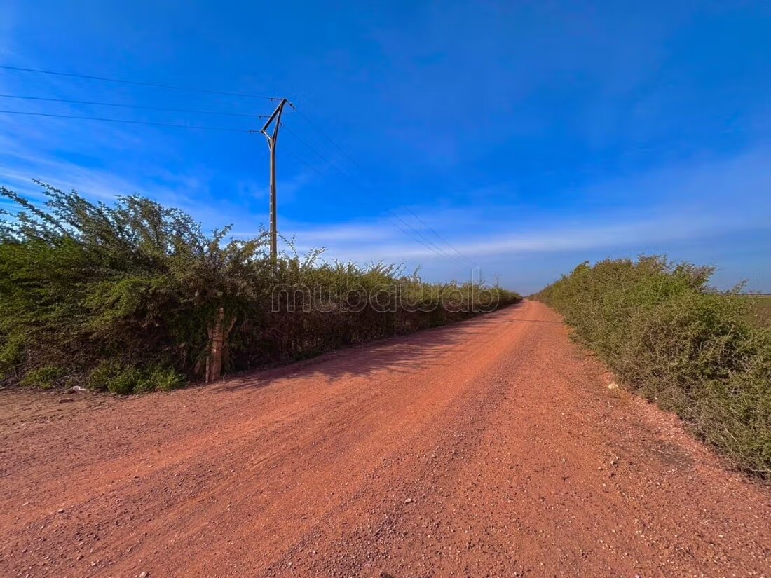 Farm 11000 sqm for sale in Casablanca — Photo 63