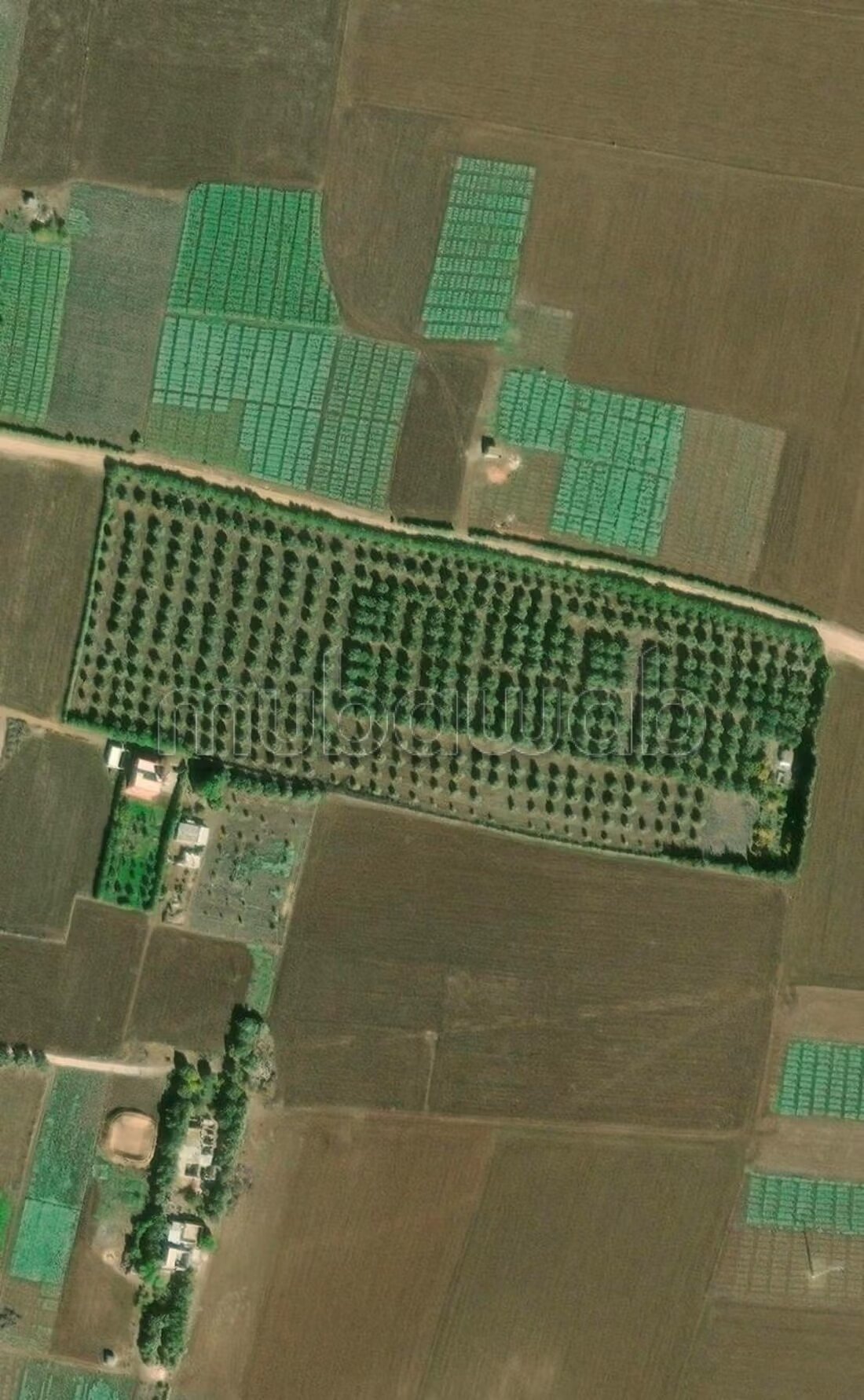 Farm 11000 sqm for sale in Casablanca — Photo 64