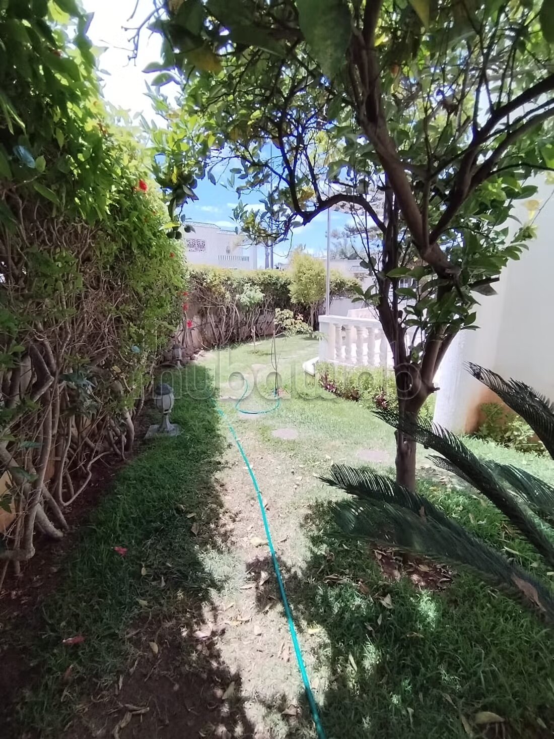 Villa 600 m² for Rent in Hay Riad, Rabat — Photo 10