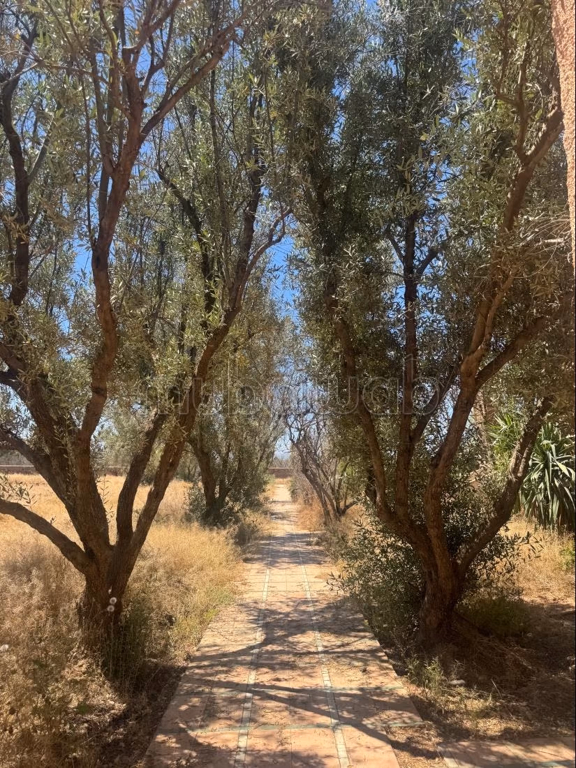 Villa 800 m² for sale in Marrakech — Photo 5