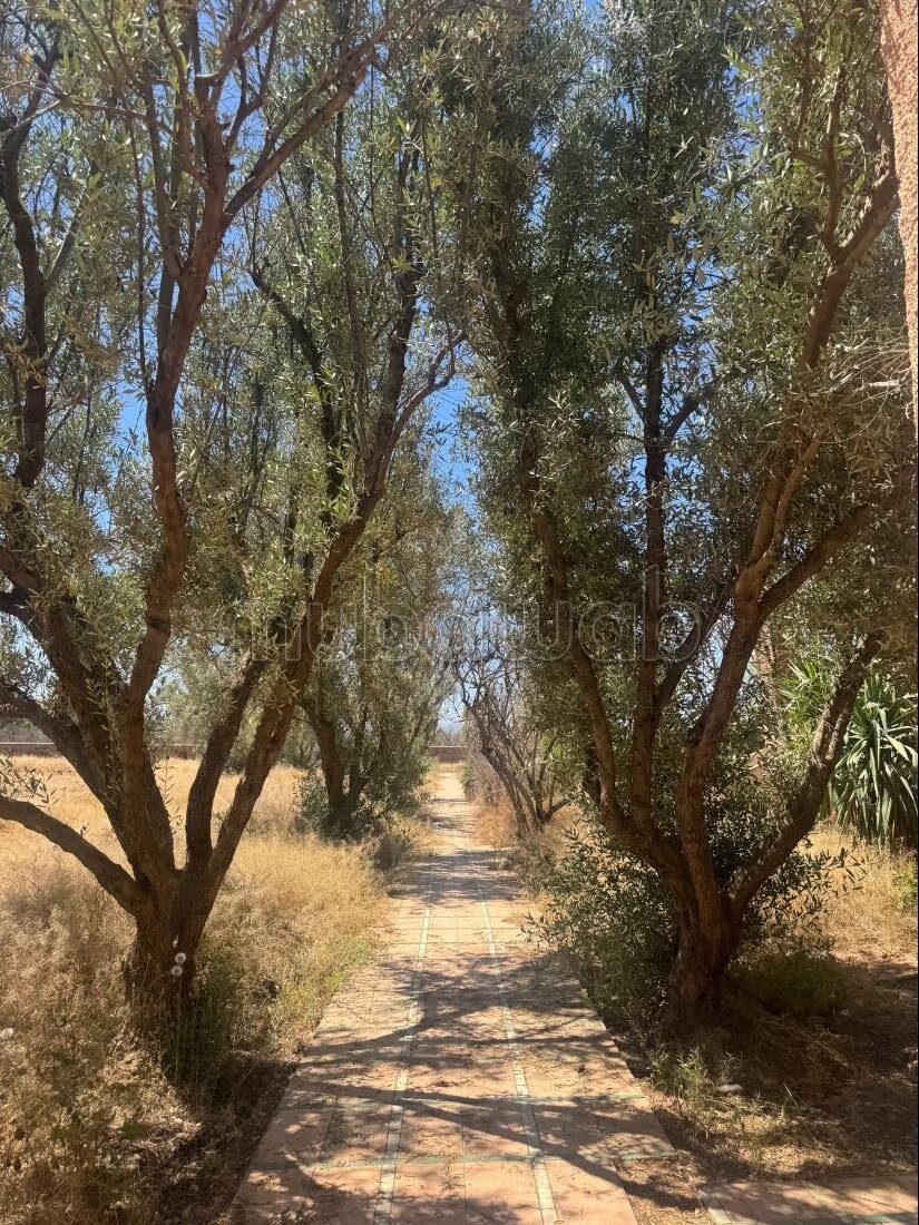 Villa 800 m² for sale in Marrakech — Photo 6