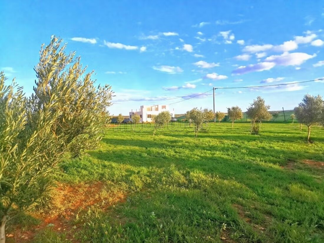 Ferme 3600 m² à vendre à Sidi Ismail — Photo 2