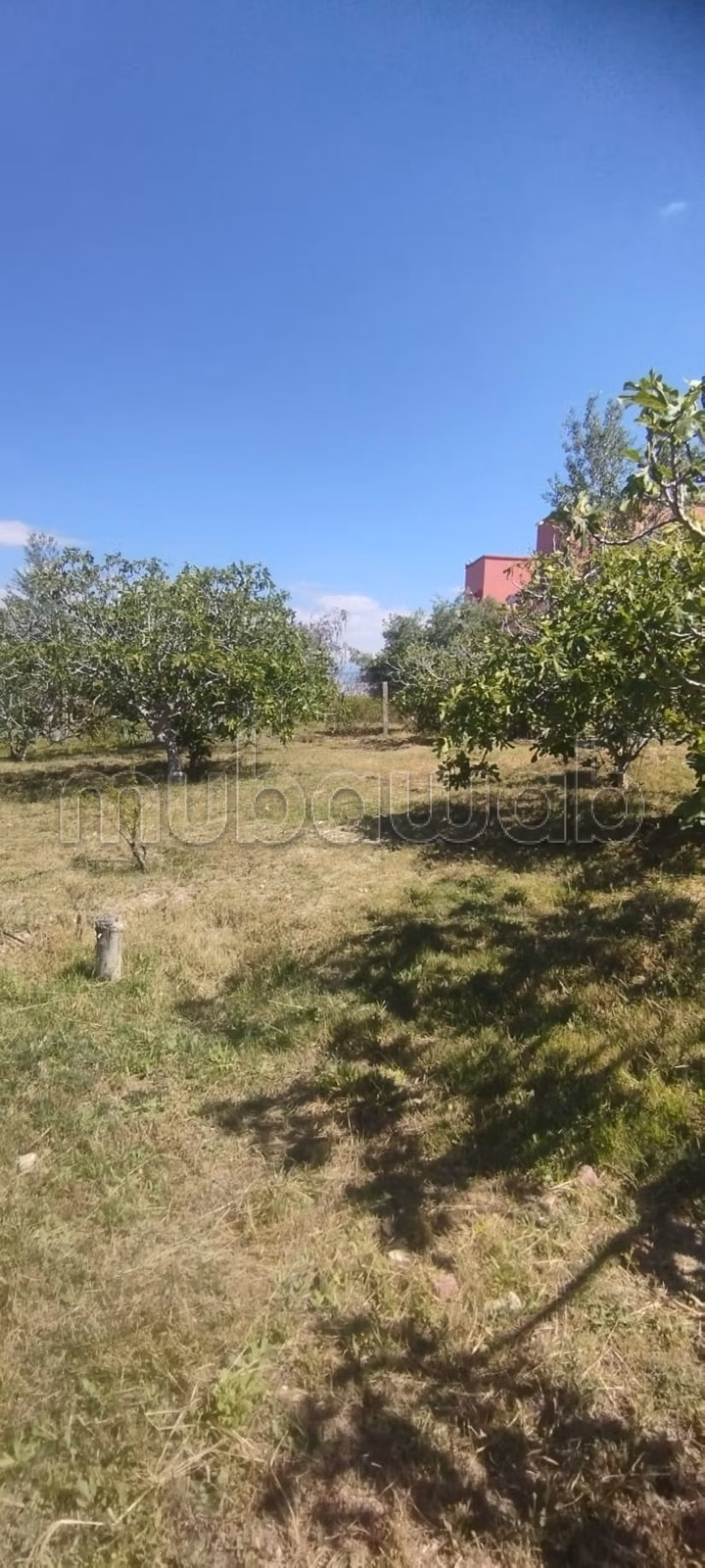 Villa 10000 m² for sale in Marrakech (Route Amizmiz) — Photo 4